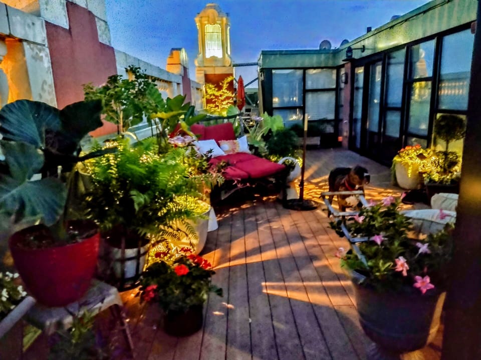  Louisvilles only private penthouse jungle, fabulous with a  glass of bourbon!!!