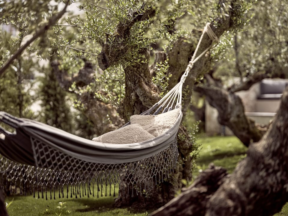 Hammock inviting settings. 