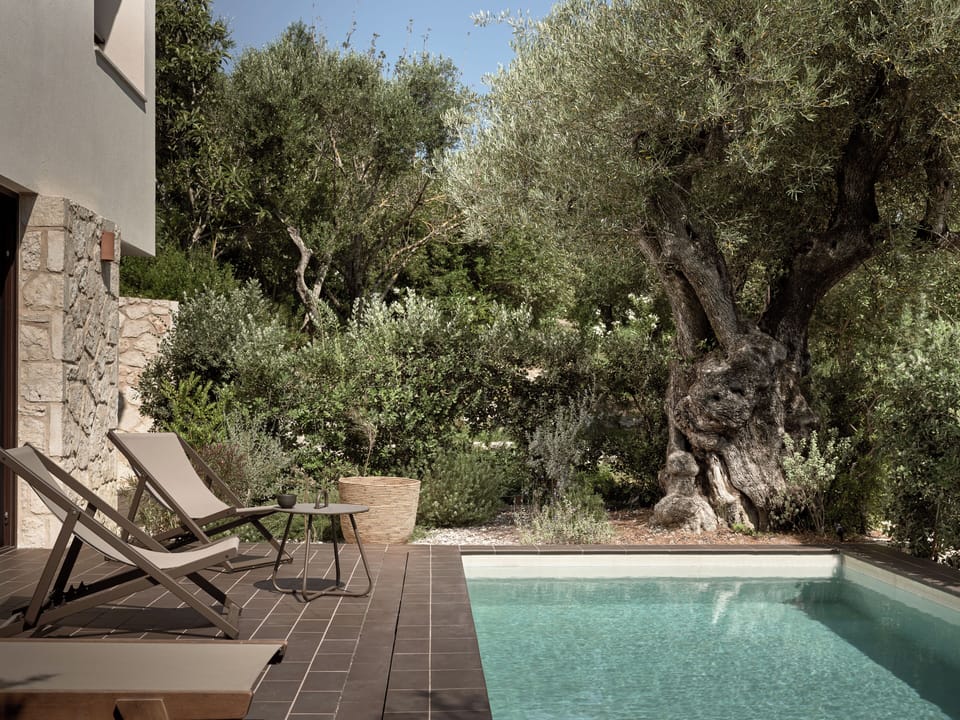 The private pool is surrounded by nature. 