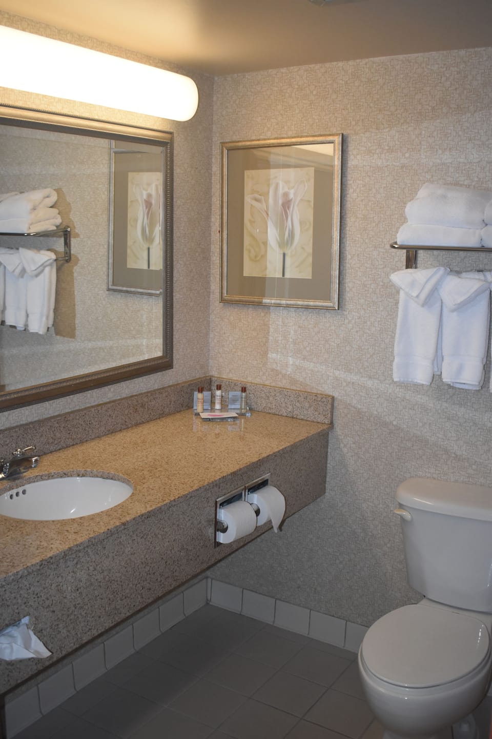 Combined shower/tub, free toiletries, hair dryer, towels