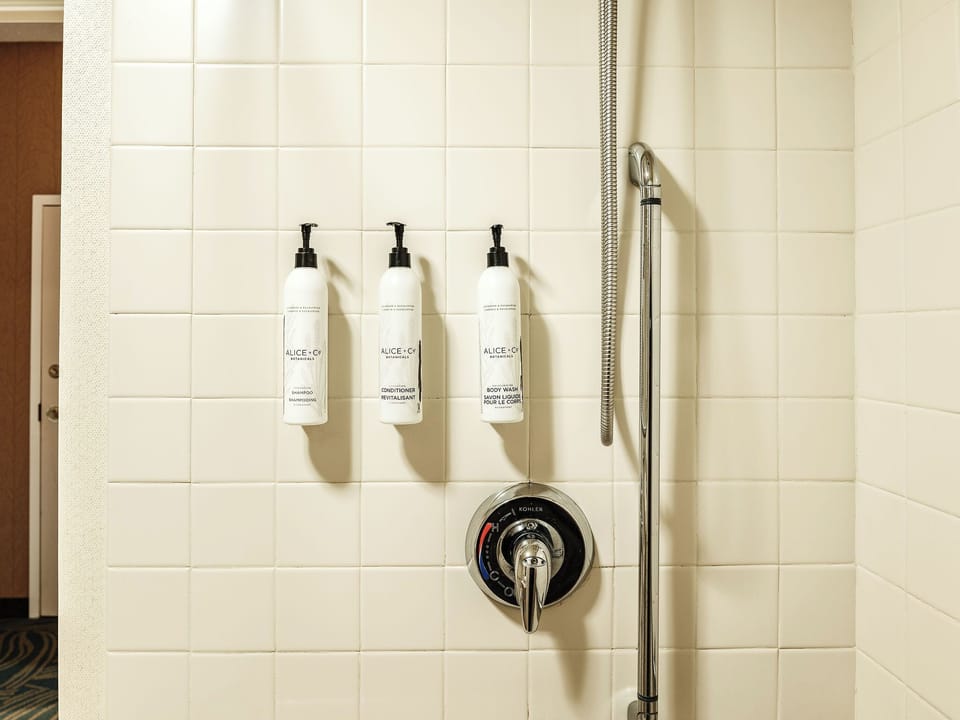 Combined shower/tub, free toiletries, hair dryer, towels