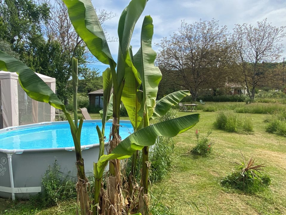 Owners small pool in large fenced garden, which guests are welcome to use