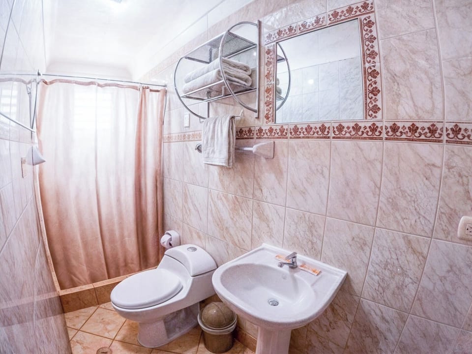 Basic Room | Bathroom | Shower, towels