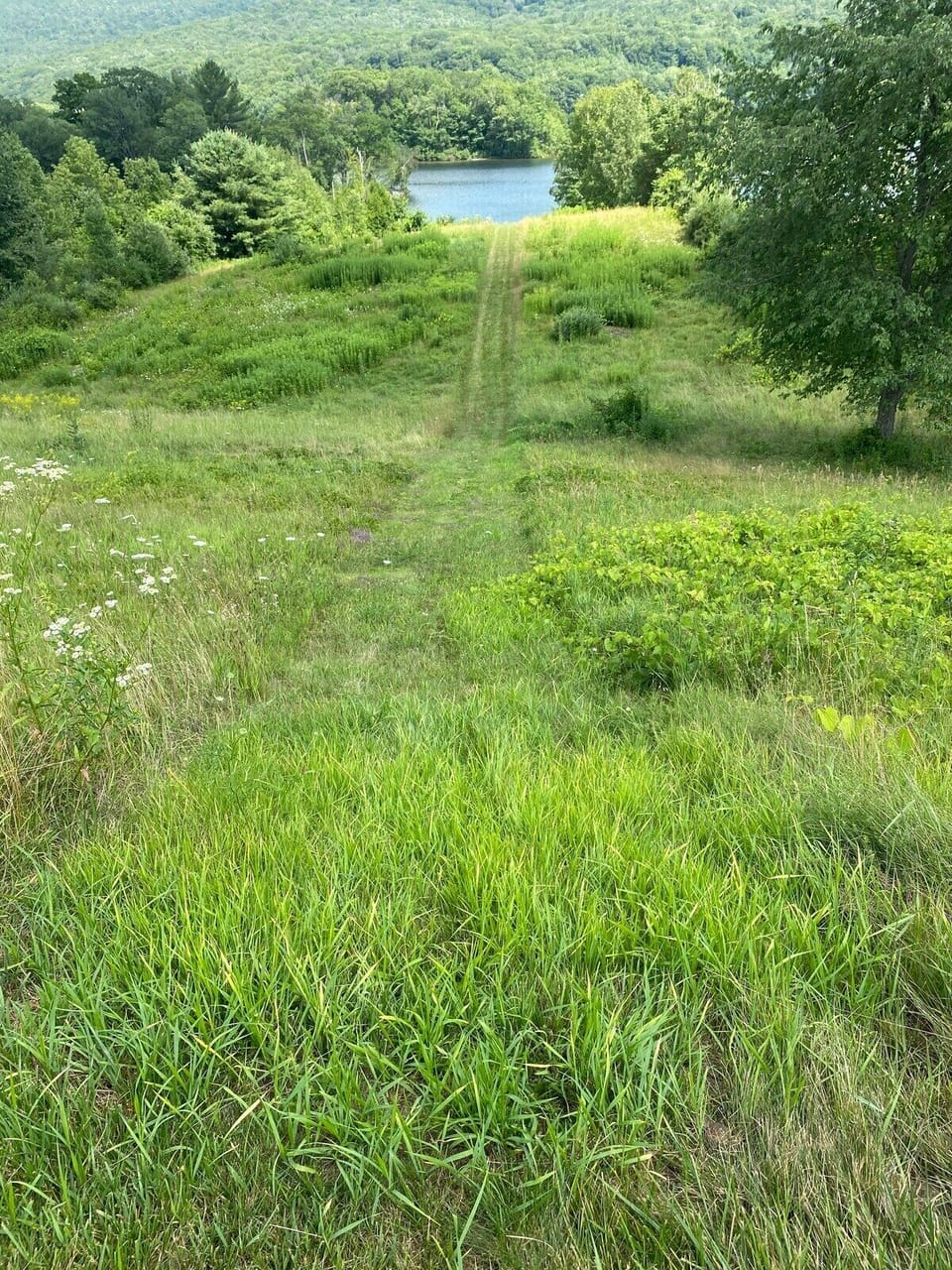 2 routes to walk from the house to the lake. This is the direct but more steep route.