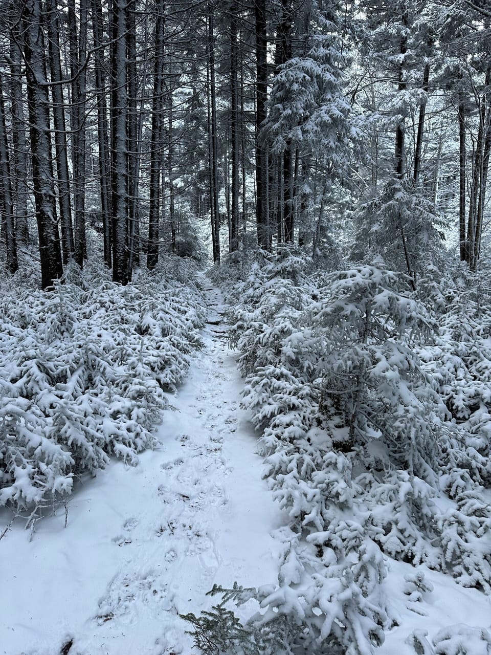 Wonderful walking trails right outside your door