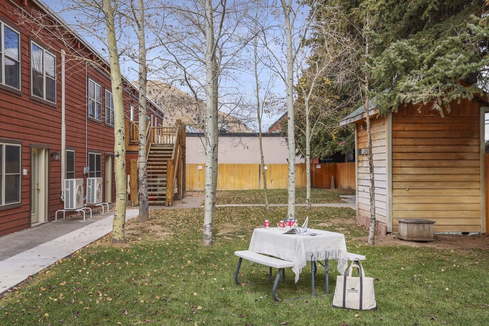 Outdoor Common Backyard