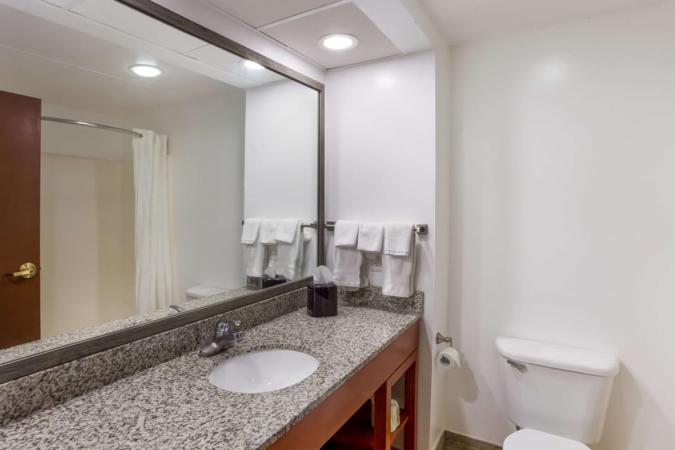 Combined shower/tub, free toiletries, hair dryer, towels