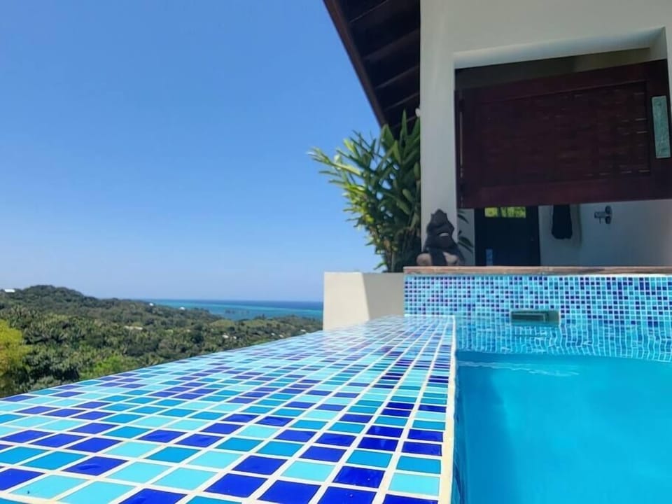 Our plunge pool is an amazing place to unwind and take it the beauty of Roatan