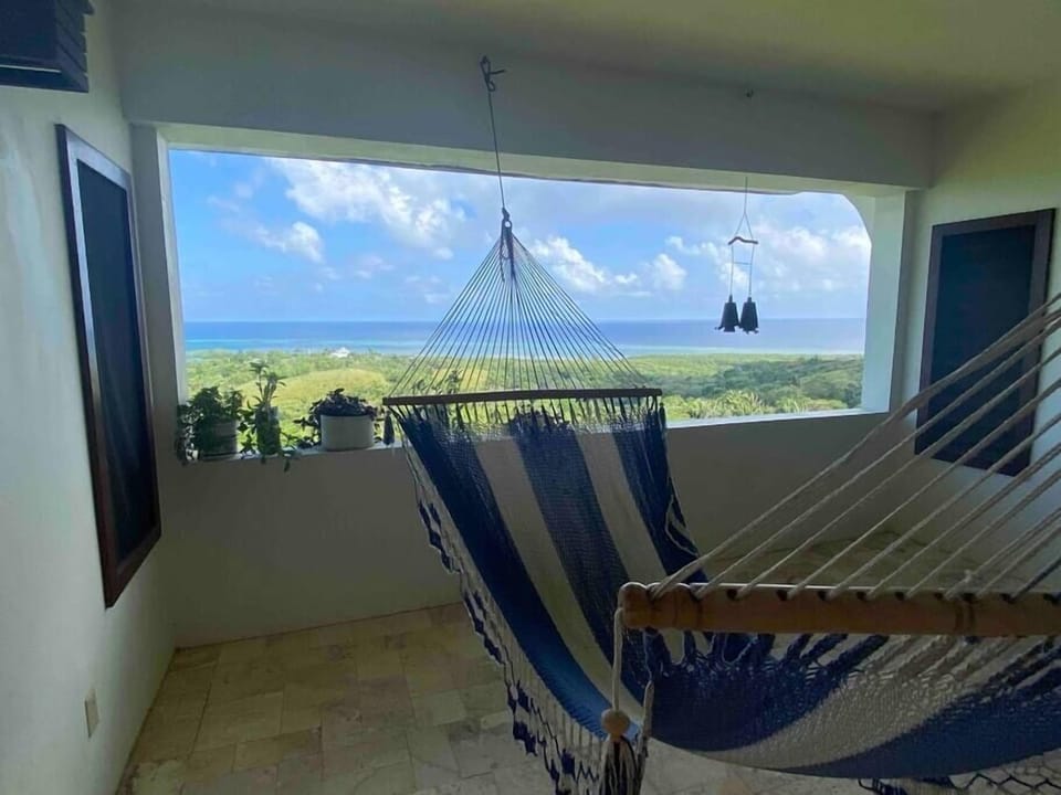 Quiet time in the hammock