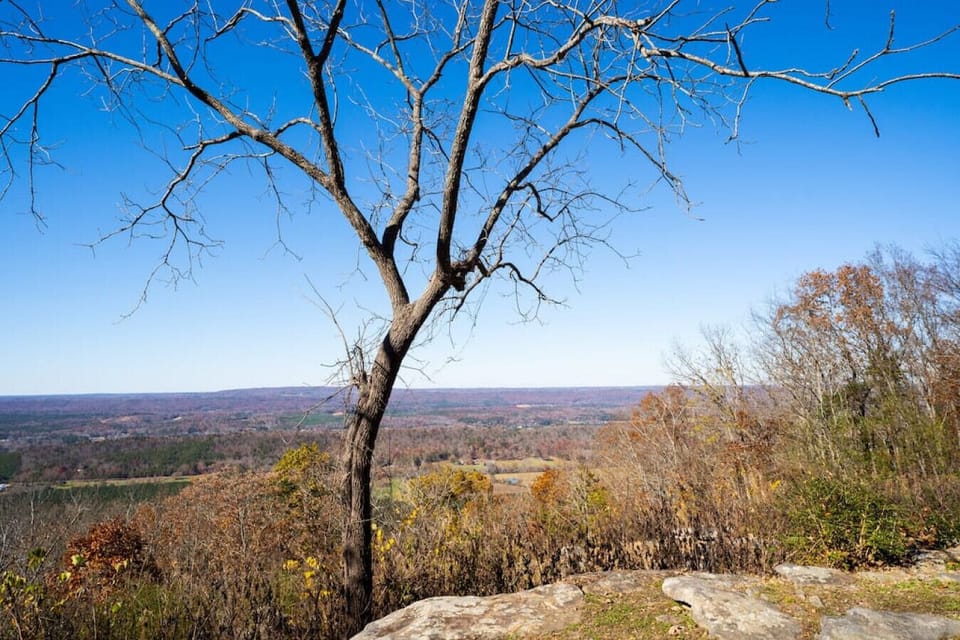 Photos from the brow park less than 1 mile away (within walking distance)