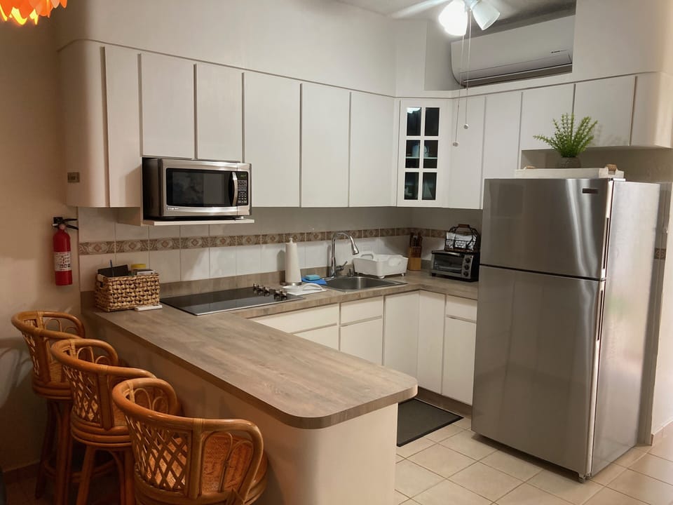 Kitchen is nicely equipped