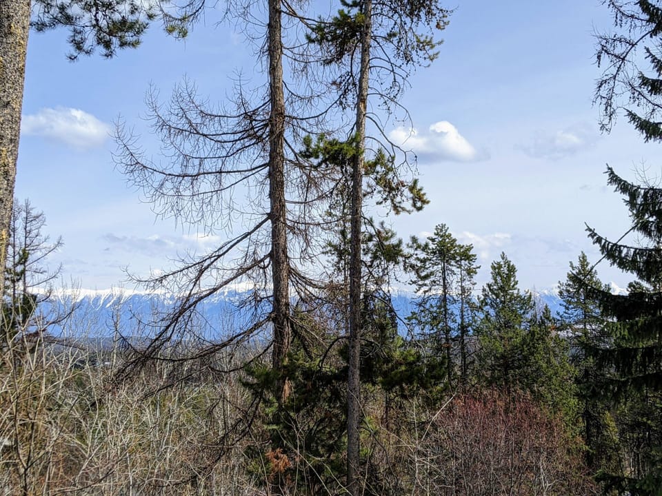 View of the Rockies from the deck.