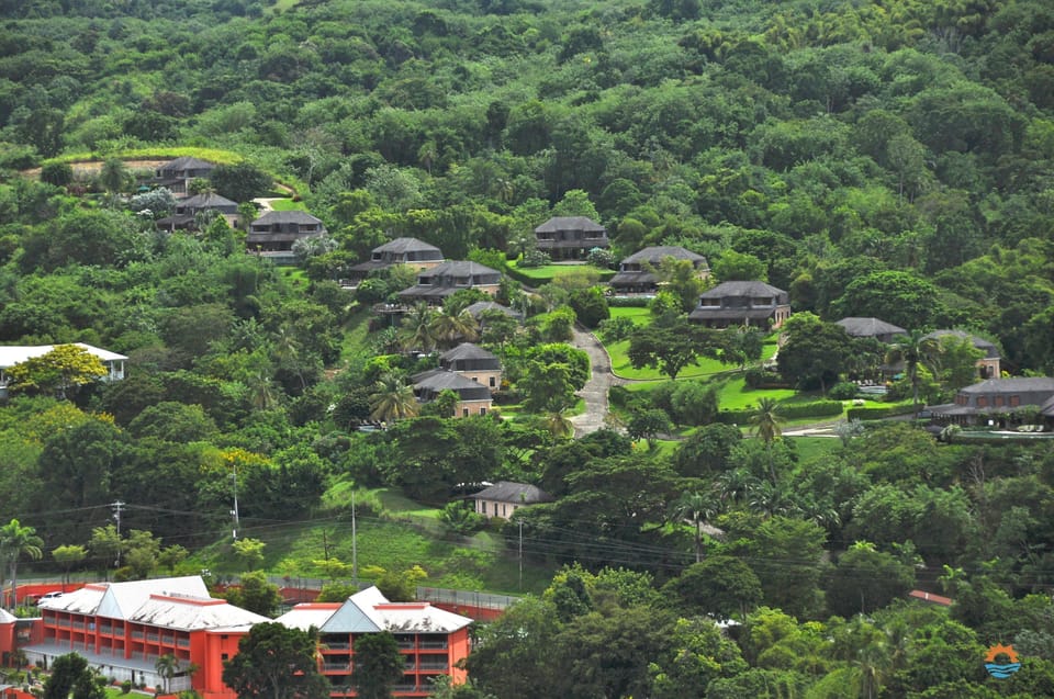 Beautiful jungle surrounds the villas.