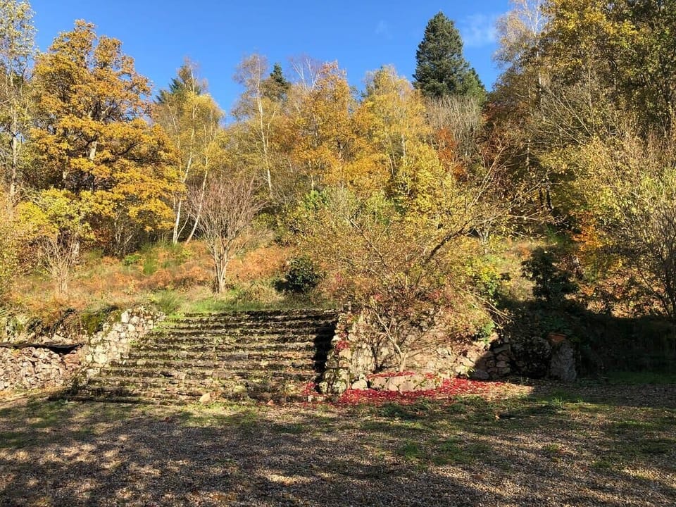 Jardin
