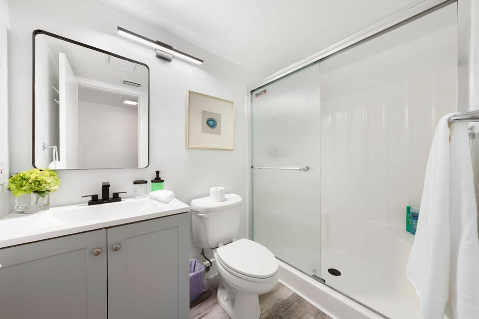 Downstairs Modern FULL Bathroom w/ Shower, New Vanity, Light, Mirror, and Toilet