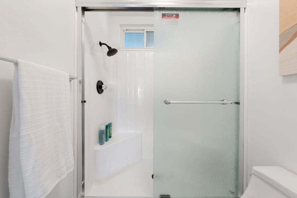 Master Shower (in addition to Tub)