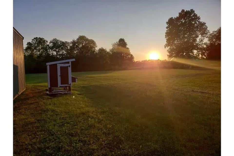 Lovely summertime sunset.