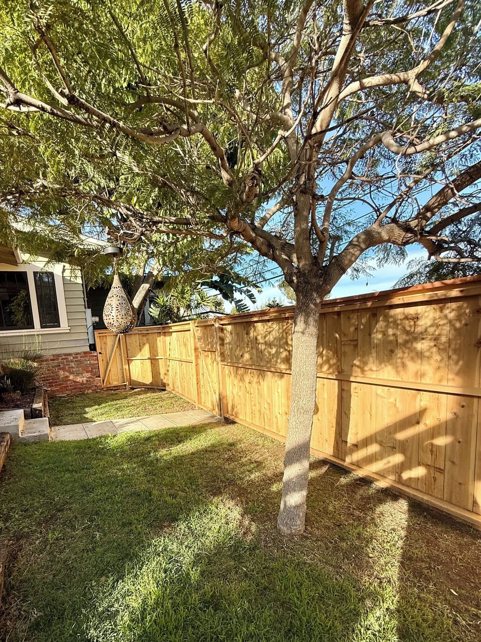 Front yard with privacy fence.