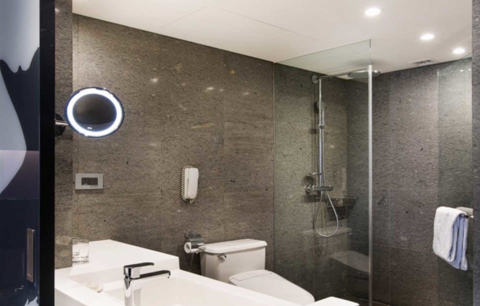 Hair dryer, slippers, towels