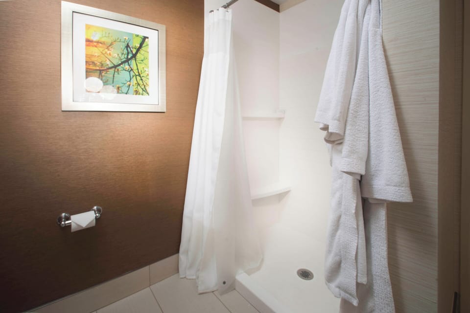 Room, 1 King Bed with Sofa bed | Bathroom | Combined shower/tub, hydromassage showerhead, designer toiletries