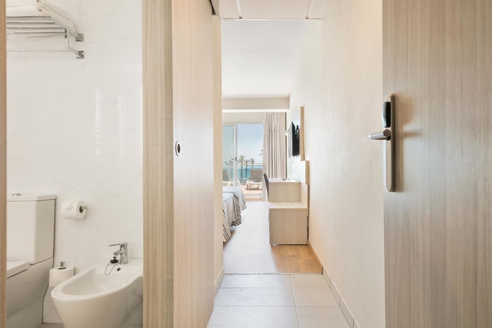 Hair dryer, bidet, towels