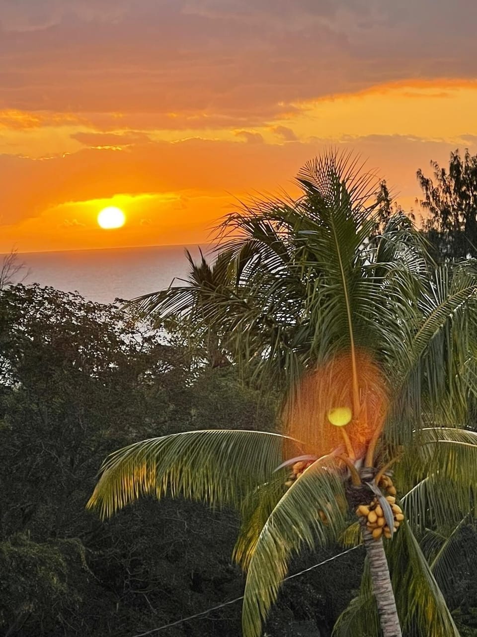 SUNSET VIEW