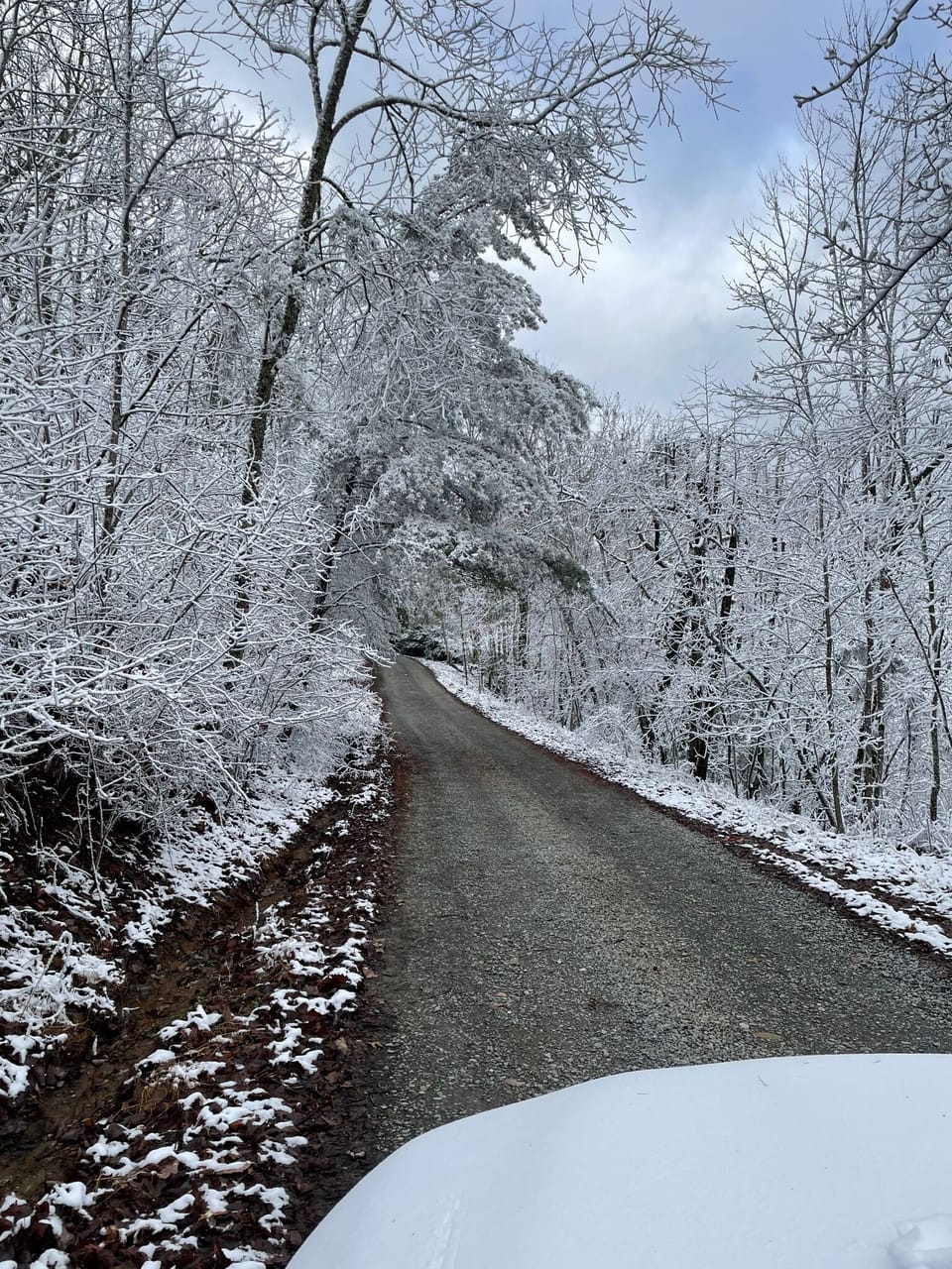 Road leading to the cabin