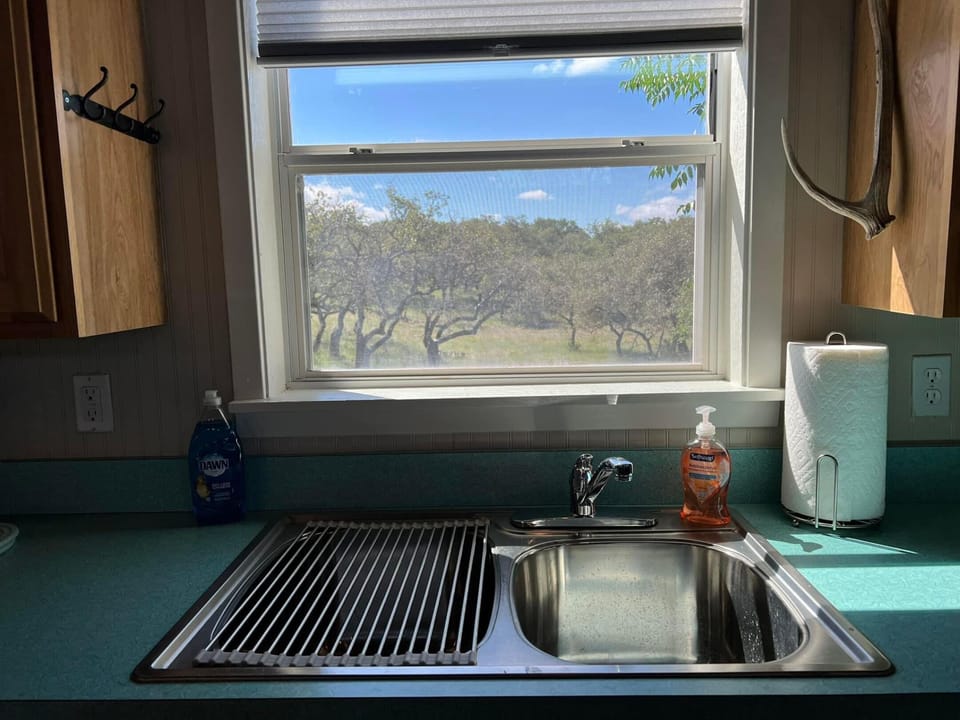 View from Kitchen