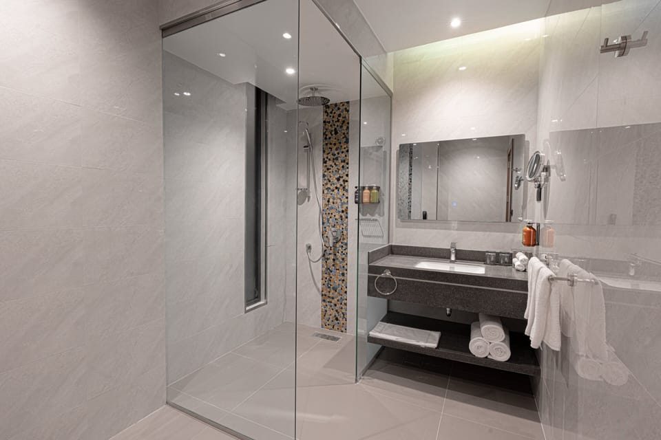 Shower, free toiletries, hair dryer, bathrobes