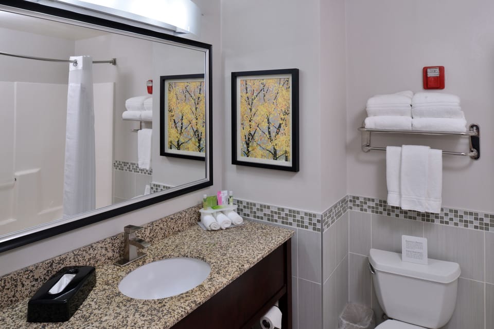 Combined shower/tub, hair dryer, towels