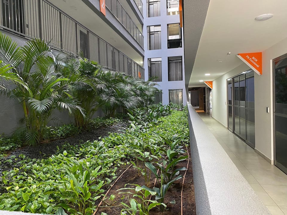 Comfort Apartment | Property grounds