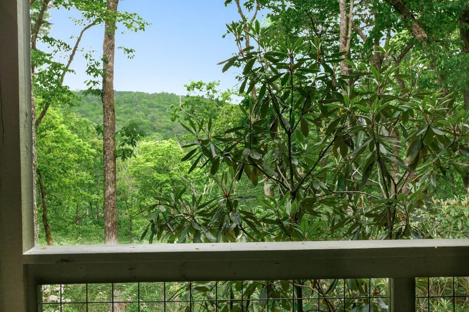 Wooded Views