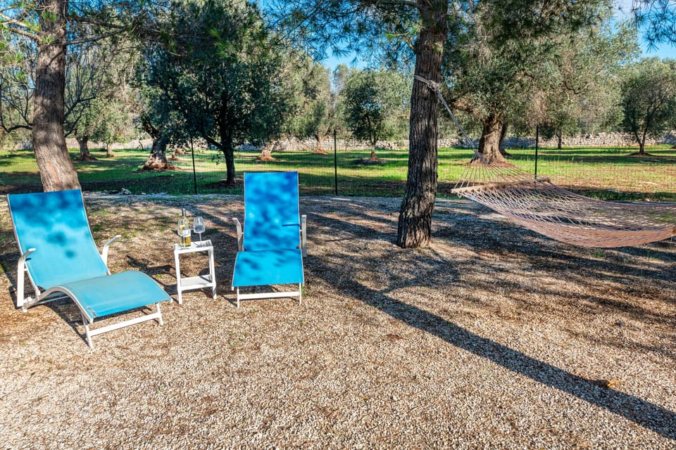 Deckchair and hammock in the garden