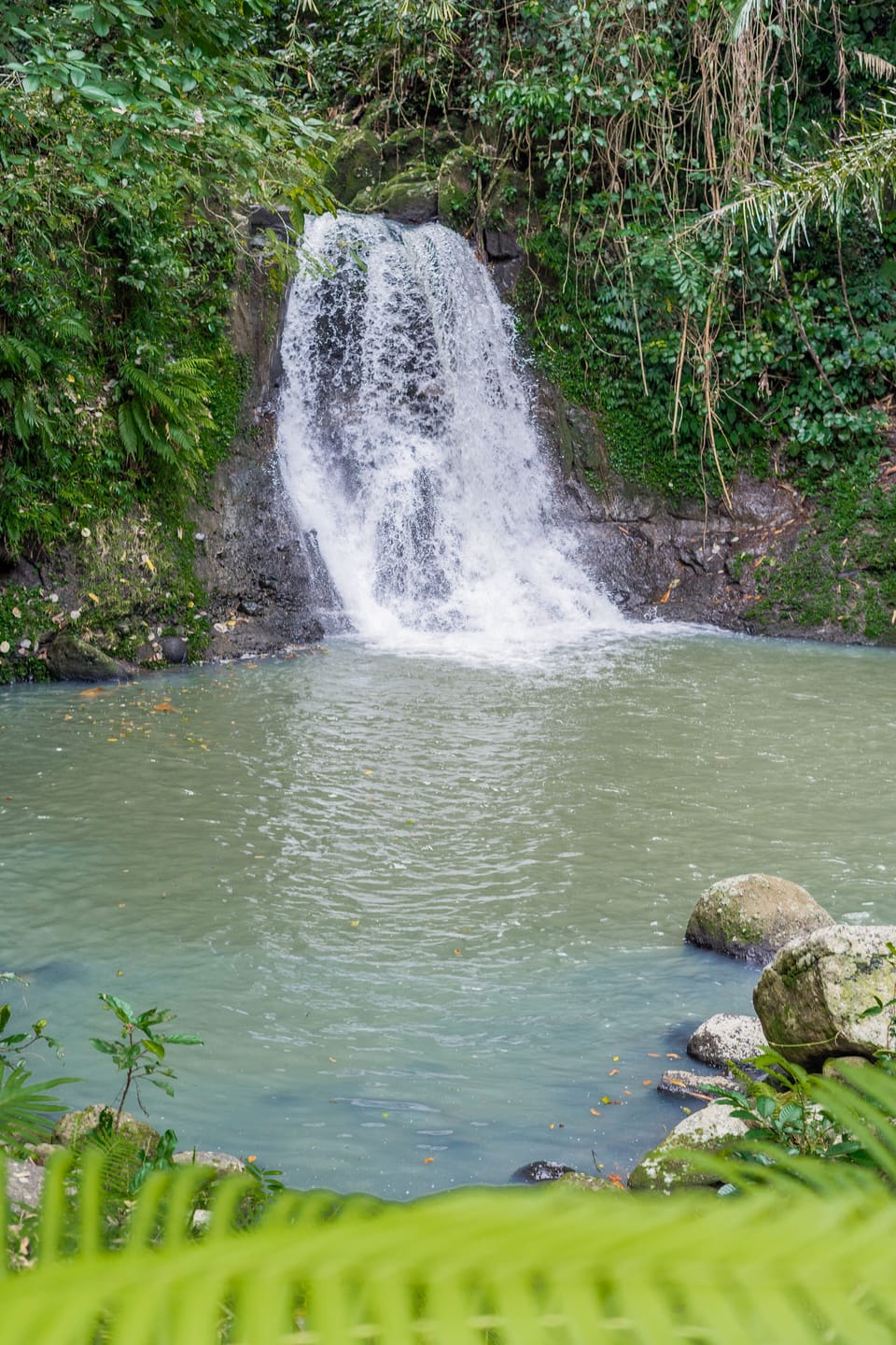 Fountain