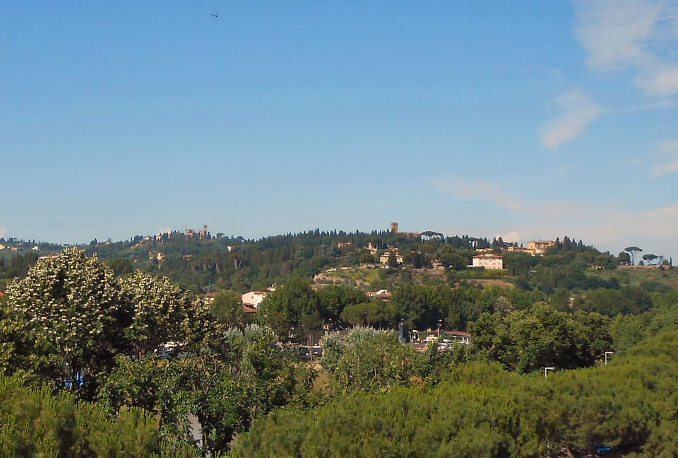 View from the terrace