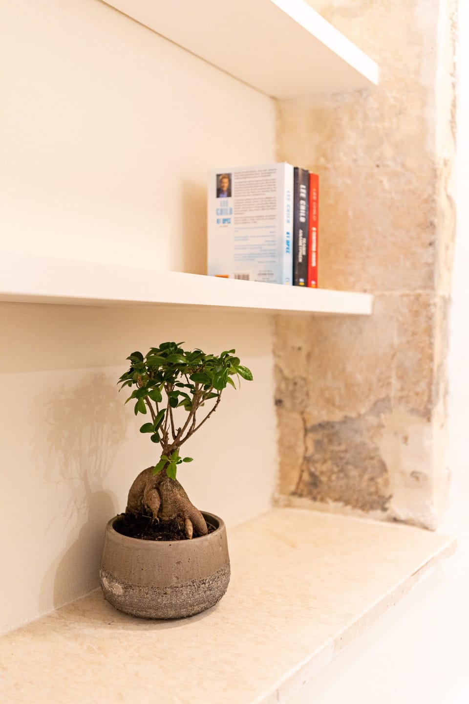 Basic Double or Twin Room | Living area | Flat-screen TV