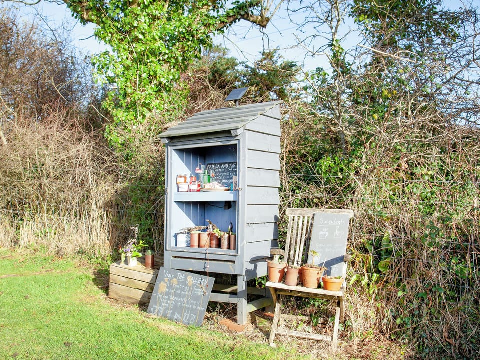 Garden and grounds | The Tabernacle - Frieda And The Moon, Tresawson, near Looe