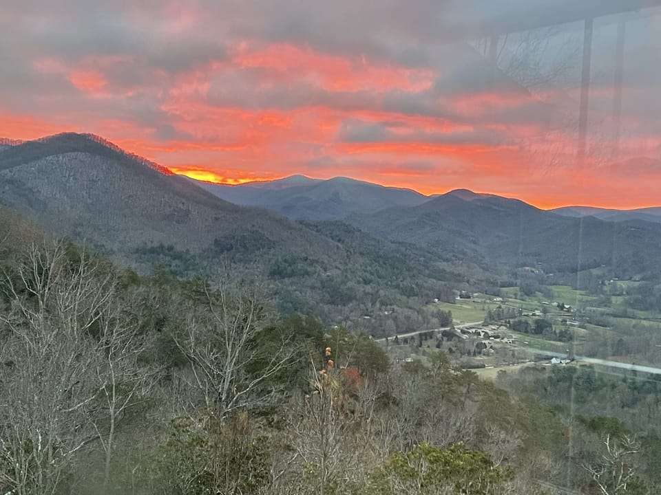 Back Yard View
