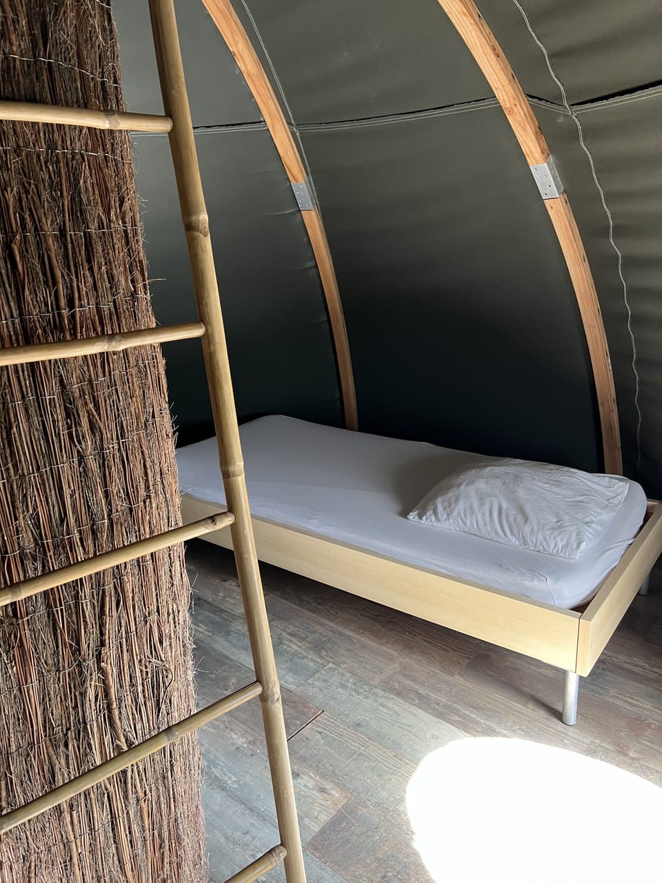 Tree House