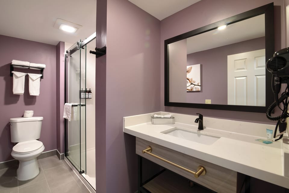 Combined shower/tub, free toiletries, hair dryer, towels