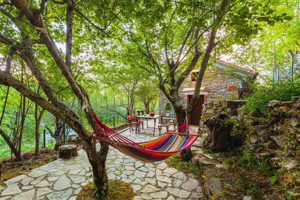 Relax beneath the forest canopy.
Swing in the hammock, sip your coffee, and let the breeze and birdsong carry you away.
