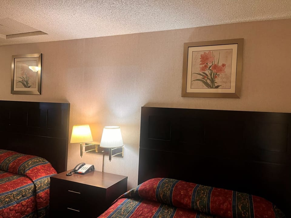 Standard Single Room, 2 Queen Beds, Non Smoking | Premium bedding, WiFi (free), individually decorated
