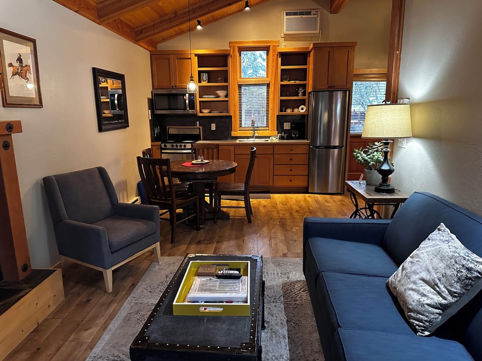 Cabin, 1 King Bed with Sofa bed, Non Smoking, Hot Tub | Living area | 40-inch flat-screen TV with satellite channels, TV, DVD player