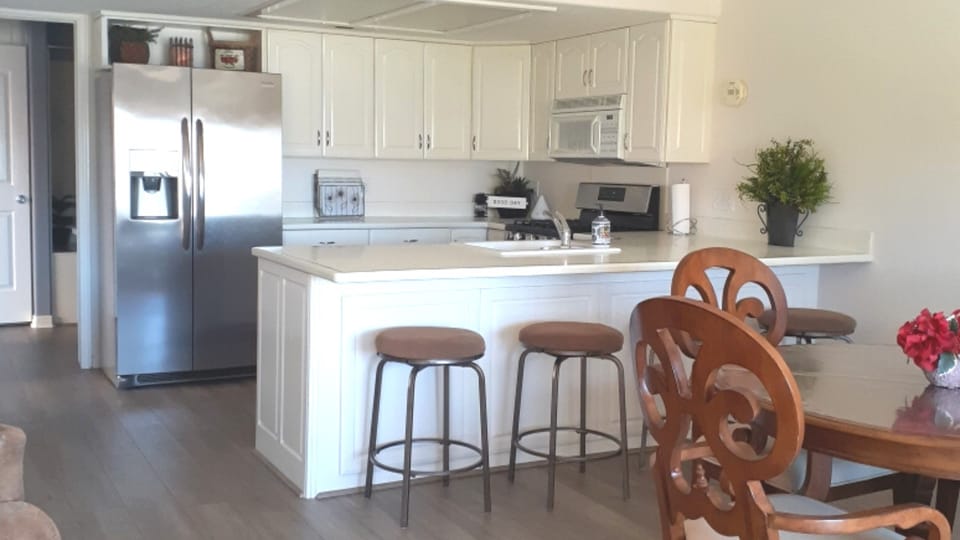 Dining and kitchen area