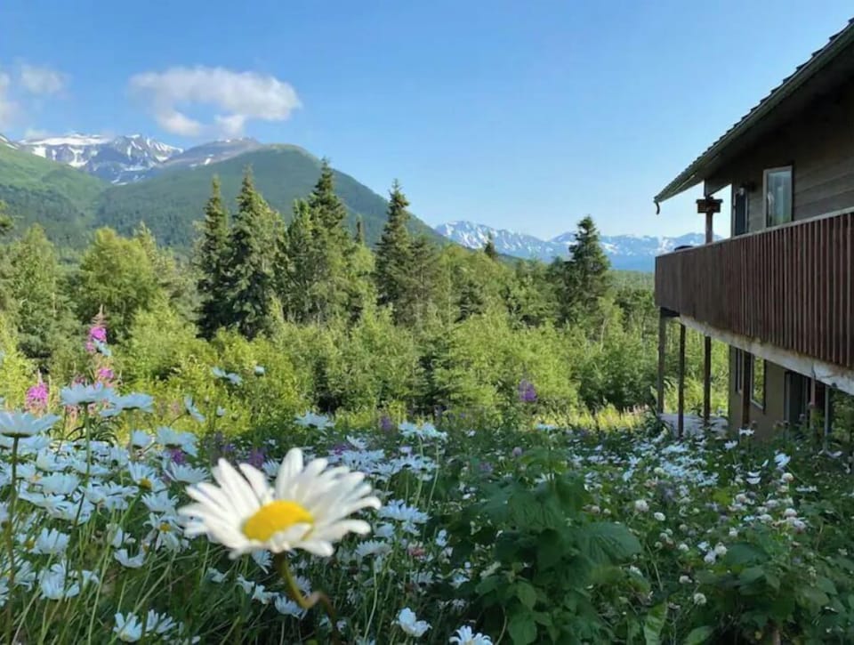 Beautiful wild flowers on side of home