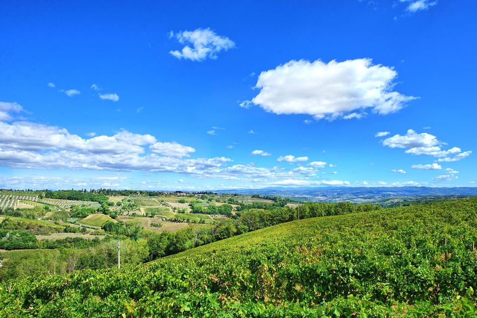Outdoor, Scenic View