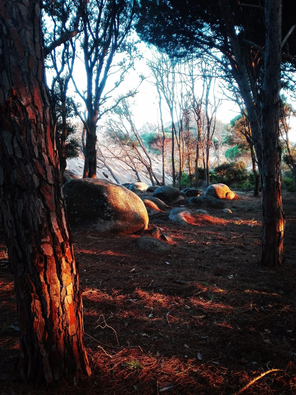 Hiking