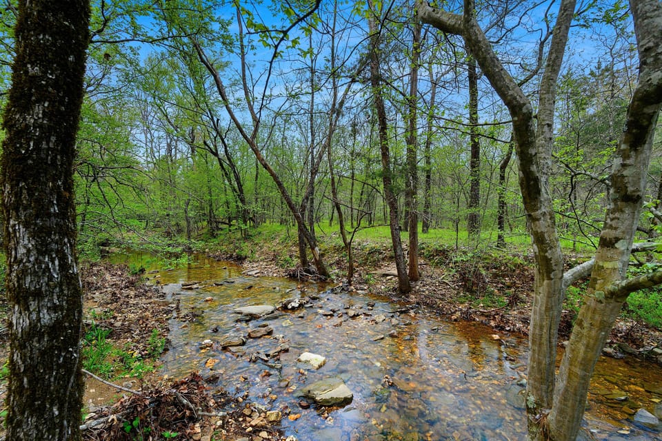 On-Site Creek
