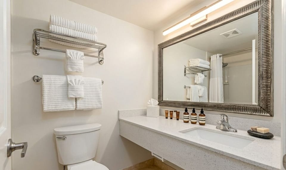 Combined shower/tub, free toiletries, hair dryer, towels