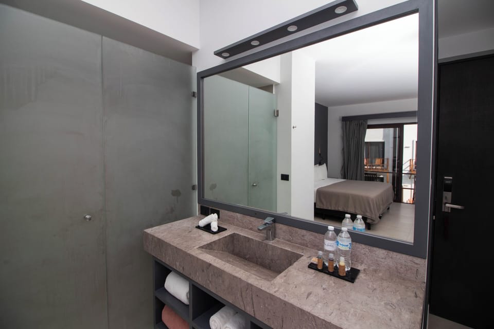 Deluxe Room | Bathroom | Shower, hair dryer, towels